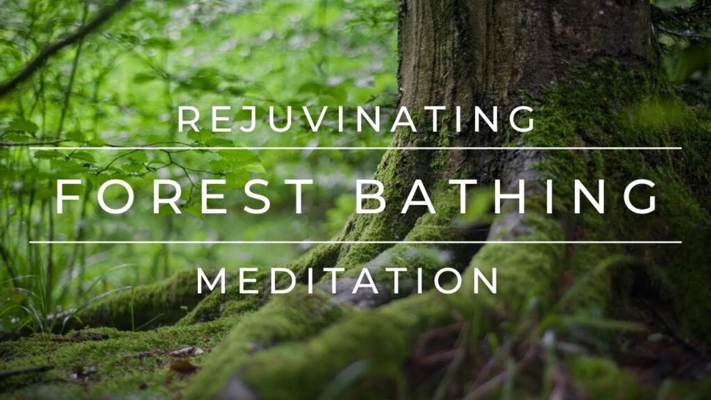 Find Tranquility In Nature On A Forest Bathing And Mindfulness Retreat
