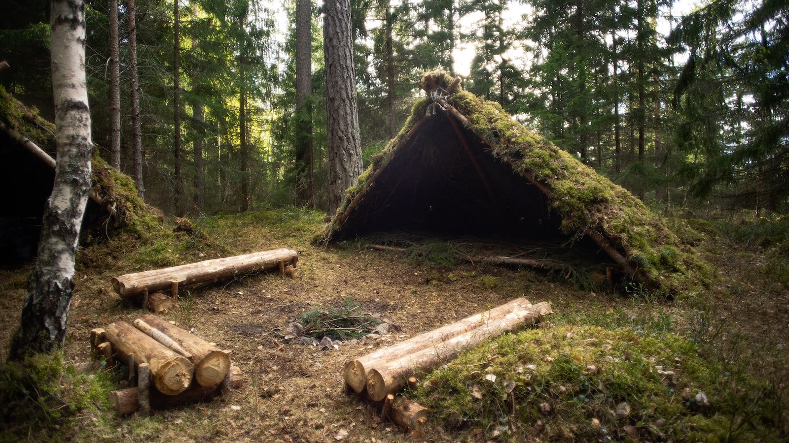 Reconnect With Your Wild Side On An Off-grid Wilderness Survival Adventure